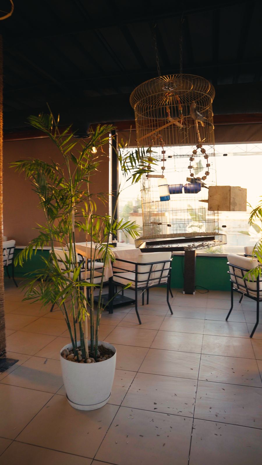 Cosy corner with birdcage lamps and potted palms
