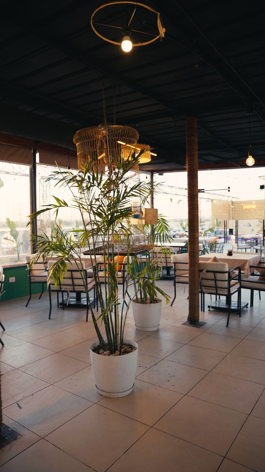 Rooftop seating framed by hanging plants and warm lights